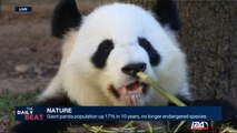 Giant Panda population up 17% in 10 years, no longer endangered species