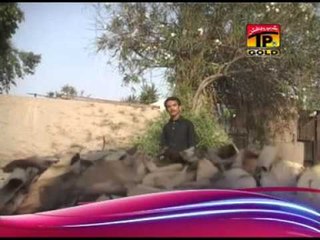 Mainu Ishq Diyan Chotan by Adnan Bali 🎶