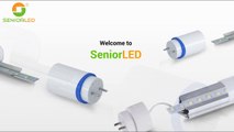 looking for LED T8 tube lightsDistributor in China