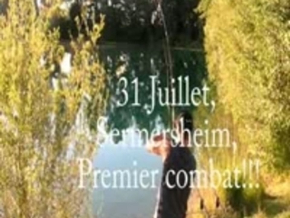 Carpe 31 juillet graviere