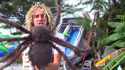 TOP 10 Funny Pranks Of The Year! (Prank Compilation)