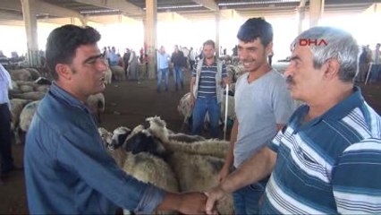 Şanlıurfa'da Hayvan Pazarlarında Hareketlilik Arttı