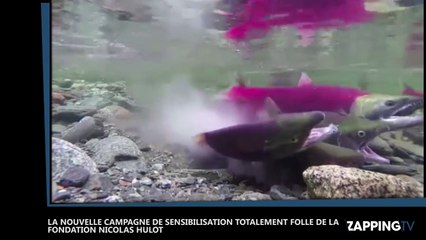 La nouvelle campagne de sensibilisation complètement délirante de la fondation Nicolas Hulot