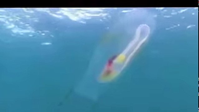 Allah Ki Qudrat Allah ki qudrat ka karishma Transparent Fish Found Allah Ki Qudrat Fish