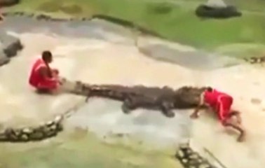 Why You Never Stick Your Head In A Croc's Mouth