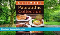 Big Deals  Ultimate Paleolithic Collection: 4 Weeks of Fabulous Paleolithic Breakfasts, Lunches,
