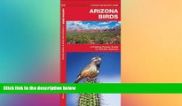 READ book  Arizona Birds: A Folding Pocket Guide to Familiar Species (Pocket Naturalist Guide