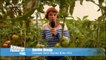la cueillette de fruits et légumes chez un agriculteur de Chevigny-Saint-Sauveur : Direct 1