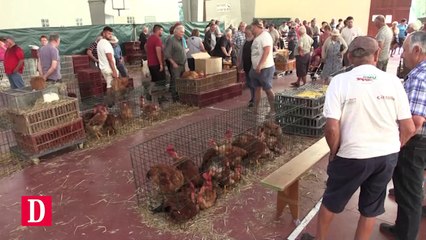 Le marché à la volaille de Samatan vit-il ses dernières années ?