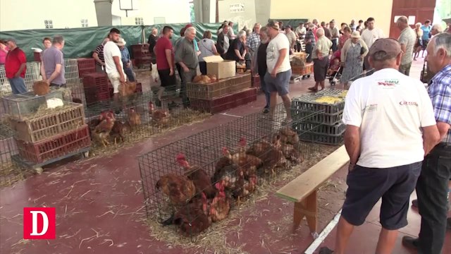 Le marché à la volaille de Samatan vit-il ses dernières années ?