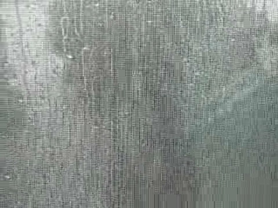 MVI_2076