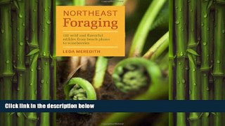 EBOOK ONLINE  Northeast Foraging: 120 Wild and Flavorful Edibles from Beach Plums to Wineberries