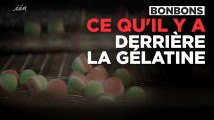 Découvrez d'où vient la gélatine des bonbons