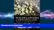 READ book  Wildflowers of New England: Timber Press Field Guide (A Timber Press Field Guide)