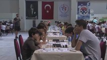 15. Uluslararası Açık Satranç Turnuvası
