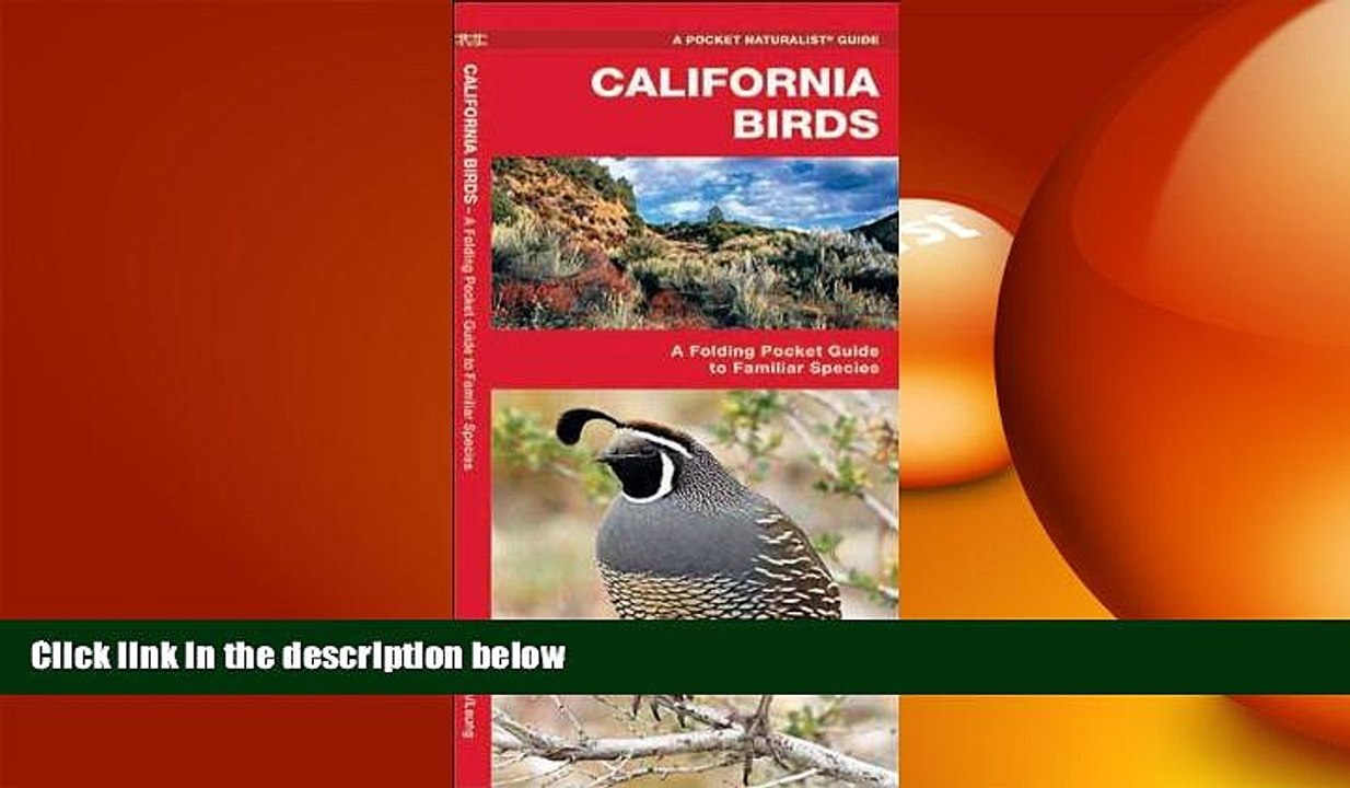 READ book  California Birds: A Folding Pocket Guide to Familiar Species (Pocket Naturalist Guide