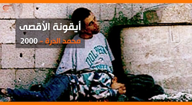 فيديو: ماذا ولماذا؟ فلسطين: الضمير الذي يحيي العالم