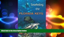 different   Snorkeling the Florida Keys