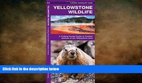 READ book  Yellowstone Wildlife: A Folding Pocket Guide to Familiar Animals of the Yellowstone