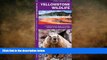 READ book  Yellowstone Wildlife: A Folding Pocket Guide to Familiar Animals of the Yellowstone