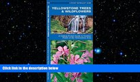 READ book  Yellowstone Trees   Wildflowers: A Folding Pocket Guide to Familiar Species of the
