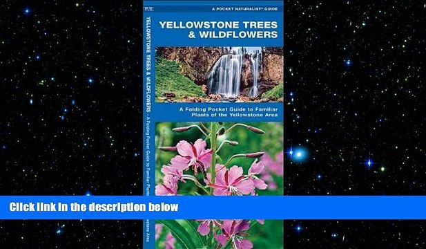 READ book Yellowstone Trees Wildflowers: A Folding Pocket Guide to Familiar Species of the