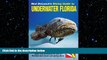 behold  Diving Guide to Underwater Florida, 11th Edition