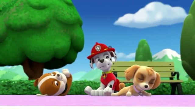 Paw Patrol : La Pat' Patrouille - Le toboggan