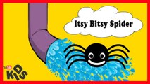 ABC song | alphabet song | rhymes | baa baa black sheep itsy bitsy spider