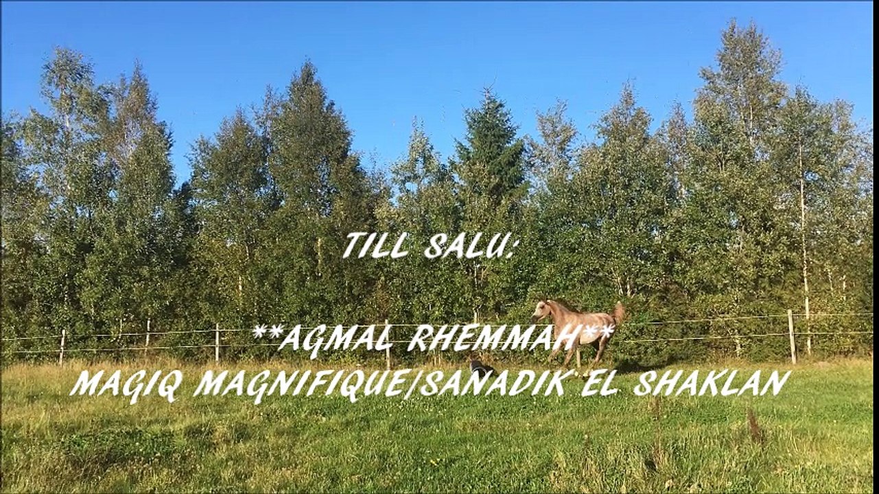 RHEMMAH