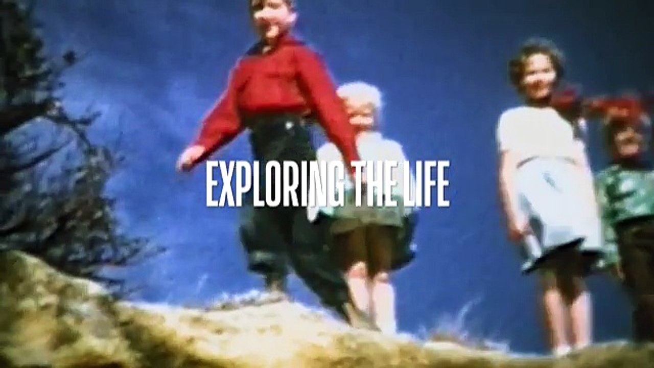 David Lynch: The Art Life