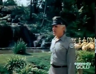 Rhoda S05E07 Martin Comes Home