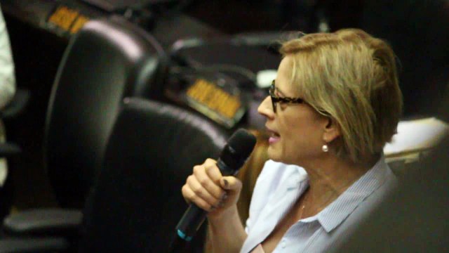 Diputados Adriana Maria Delia Briceño ( Sobre el Referéndum Revocatorio )