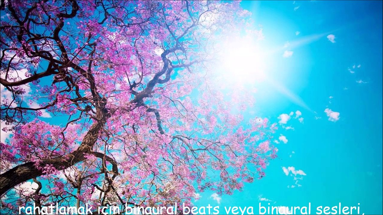 Rahatlamak için binaural beats veya binaural sesleri, gürültü ve sesler (300 Hz ve 310 Hz)