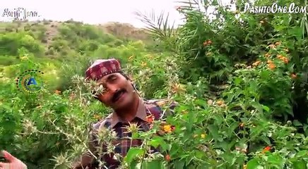 Pashto New Song 2016 Meena Meena Wi 2016 HD