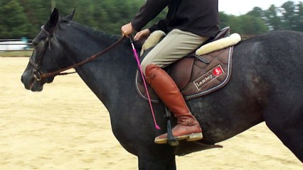 M4H02100 demon de midi Septembre 2016