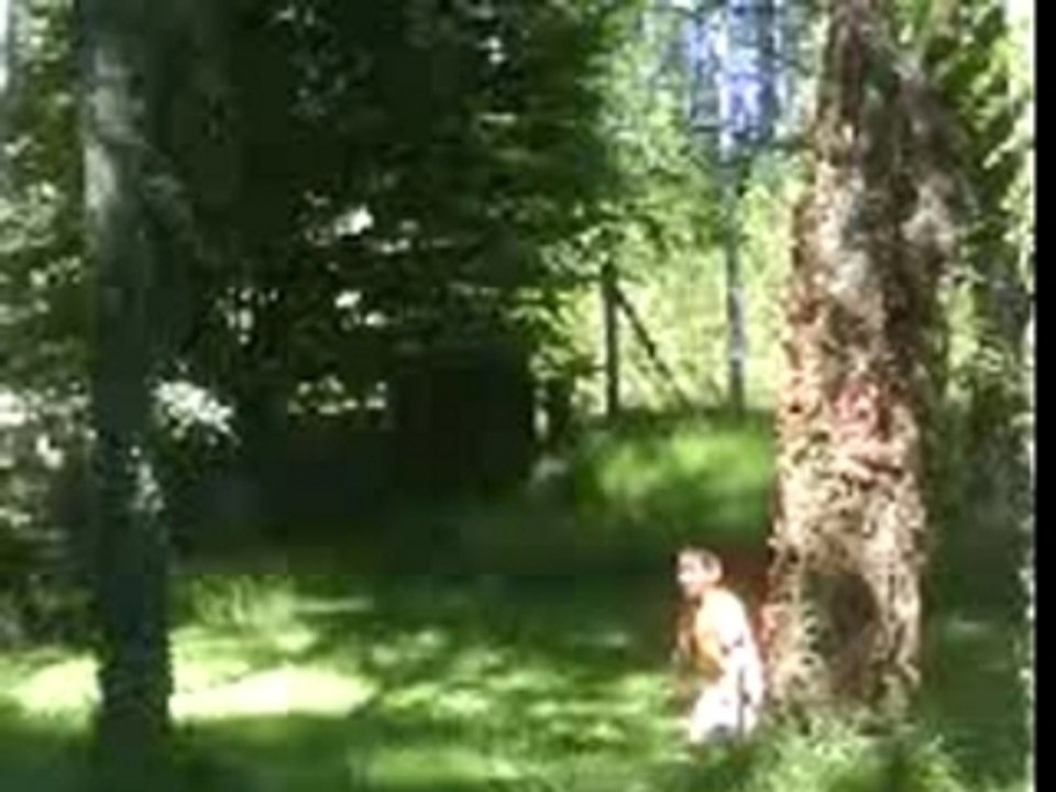 Promenons nous dans les bois ...