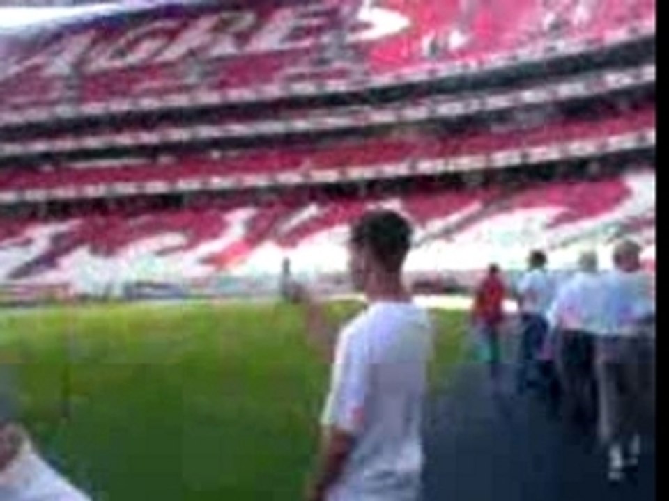 stade benfica