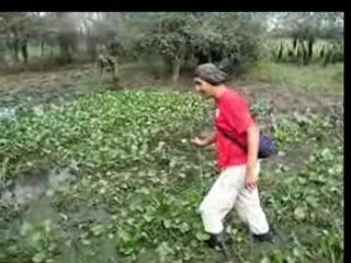 Sejour dans la pampa bolivienne