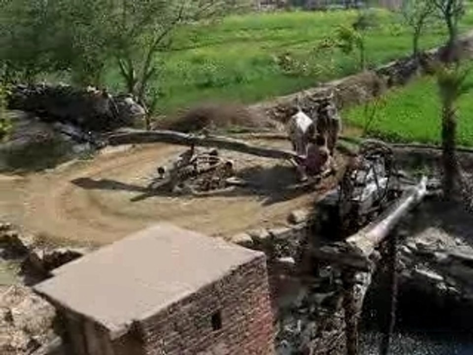 MVI_0848