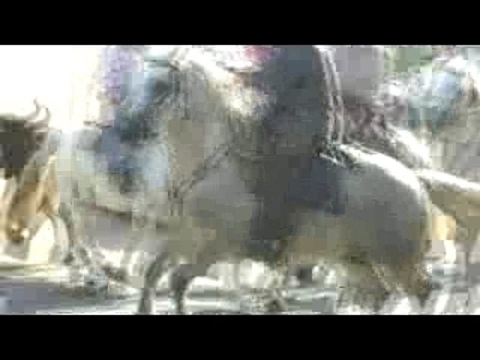 fête votive de marsillargues 2007