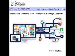 Best Web Development & Seo Company, Delhi