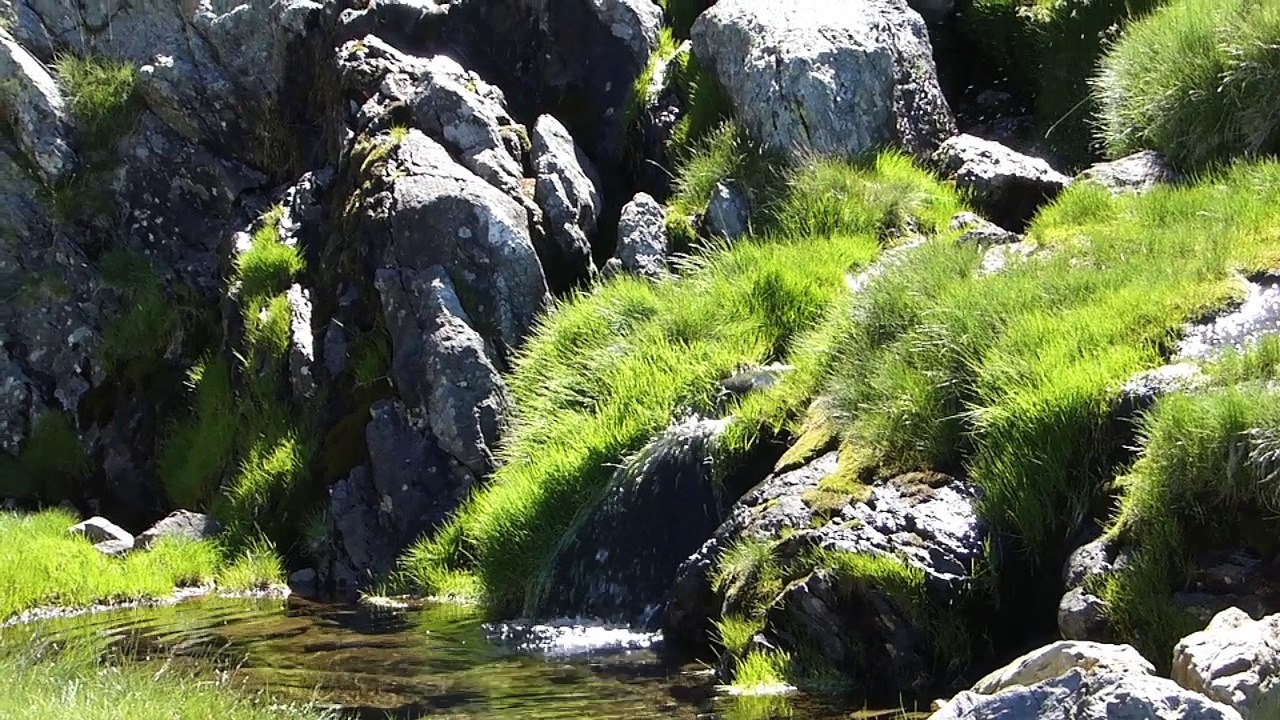 Etangs de la Gardelle et Canalbonne -6 aout 2016-