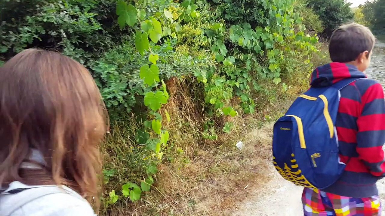 Il nostro Cammino di Santiago 7