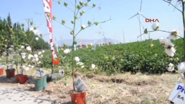 Söke Tarla Günüyle Yerli Tohum Tanıtımı