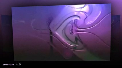 Klarnet Enstrumental  ☆彡