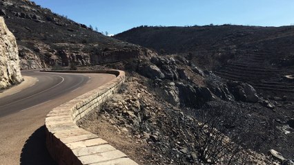 Incendie de Marseille : vue sur une zone dévastée par les flammes