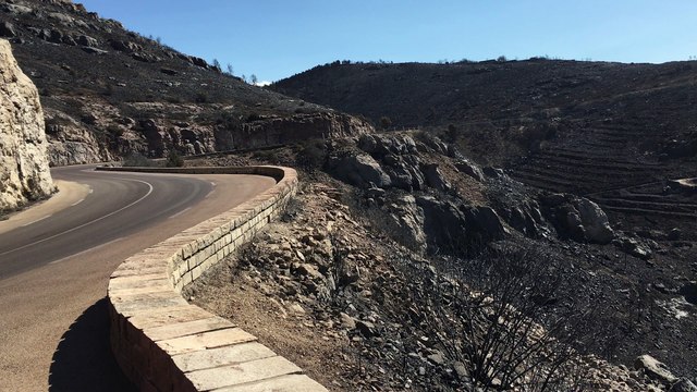 Incendie de Marseille : vue sur une zone dévastée par les flammes