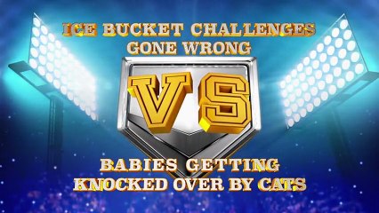 Ice Bucket Challenge Fails vs Cats Knocking Over Babies