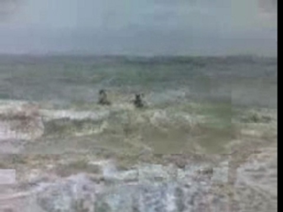 Tsunami